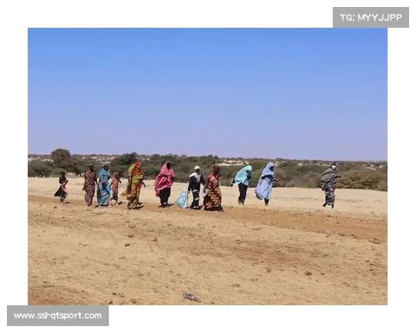 乍得总参谋部警告苏丹交战方勿再侵犯边境,否则将依法自卫 乍得总参谋部警告苏丹交战方勿再侵犯边境,否则将依法自卫